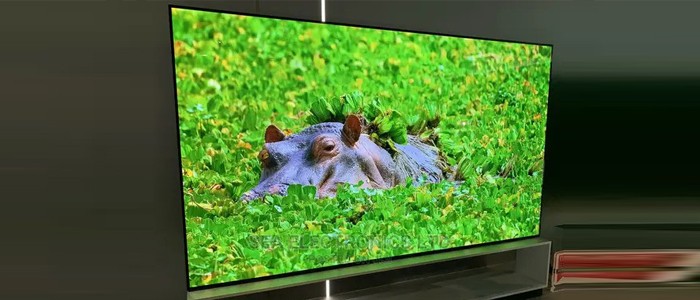 تلویزیون OLED ال جی OLED88ZXPUA 88inch