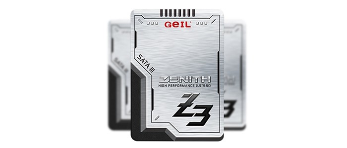 حافظه اس اس دی 256GB گیل Zenith Z3